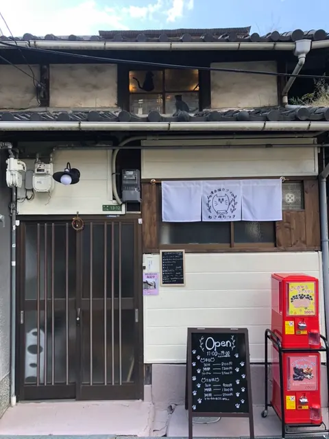Photo 2 of ぽこの森 — Bird Cafe in Kobe Nada Ward, Japan