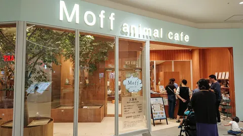 Photo 1 of Moff animal cafe LaLaport Sakai — Hedgehog Cafe in Sakai Mihara Ward, Japan