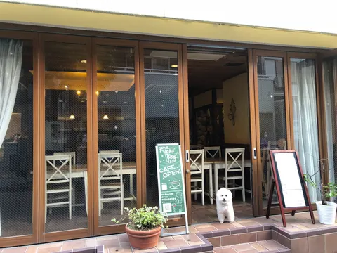 Photo 1 of フライト888KOBE — Dog Cafe in Ward Kobe, Japan