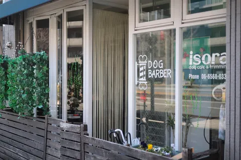 Photo 1 of Isora — Dog Cafe in Naniwa Ward, Japan