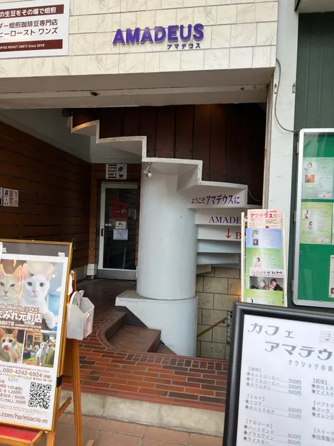 Photo 1 of 猫カフェ miacis ねこまみれ元町店 — Cat Cafe in Kobe Chuo Ward, Japan