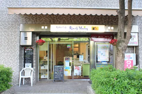 Photo 1 of うさぎカフェ Rin＆Marcy（リン＆マーシィー） — Rabbit Cafe in Ward Kobe, Japan