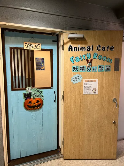 Photo 2 of うさぎカフェ Rin＆Marcy（リン＆マーシィー） — Rabbit Cafe in Ward Kobe, Japan
