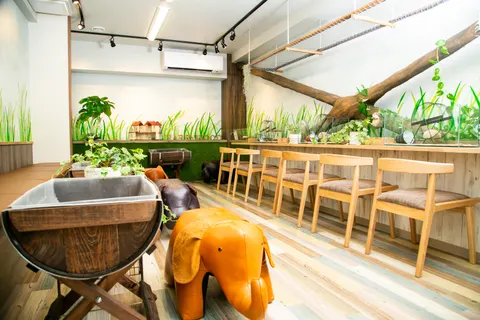 Photo 1 of Hedgehog Cafe HARRY WOOD Namba — Hedgehog Cafe in Chuo Ward, Japan