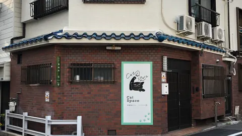 Photo 1 of Cat Space — Cat Cafe in Ward, Japan