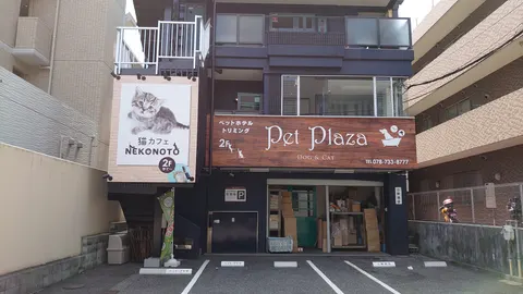 Photo 1 of Cat Cafe nekonoto Kobe — Cat Cafe in Kobe Suma Ward, Japan