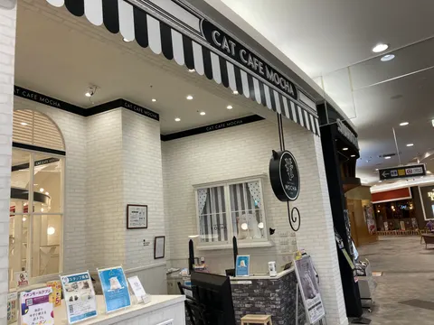 Photo 1 of CAT CAFE MOCHA AEON MALL Kobe — Cat Cafe in Kobe Kita Ward, Japan