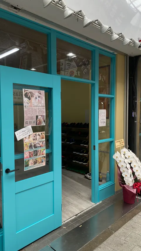 Photo 2 of cafe猫田屋 — Cat Cafe in Tsukinokicho Ikeda, Japan