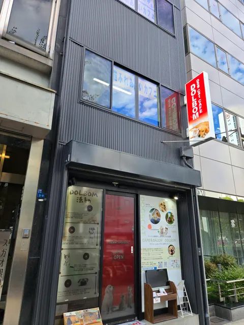 Photo 1 of Dogree — Cat Cafe in Ward, Japan