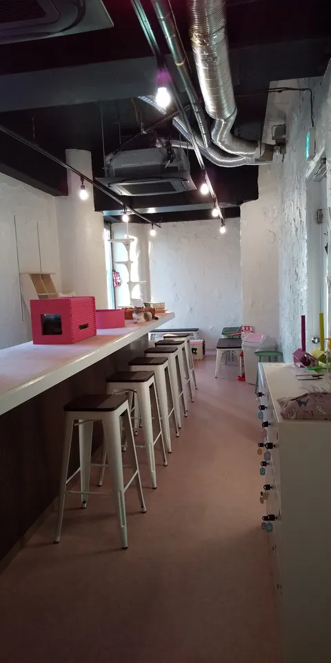 Photo 1 of 猫カフェ猫鈴～NYAN BELL～ — Cat Cafe in , Japan
