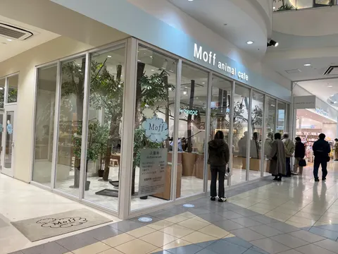 Photo 1 of Moff animal cafe ららぽーと甲子園店 — Bird Cafe in Nishinomiya Koshien, Japan