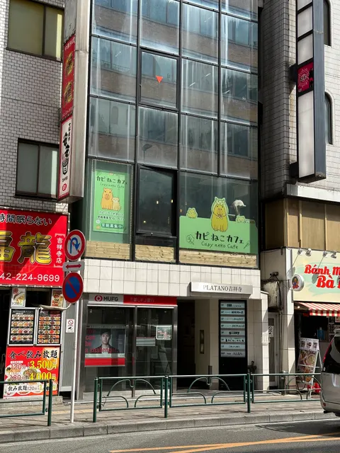 Photo 2 of Moff animal cafe ららぽーと甲子園店 — Bird Cafe in Nishinomiya Koshien, Japan