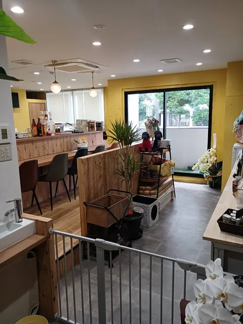 Photo 1 of stammibene! TRE — Dog Cafe in Kita Ward, Japan