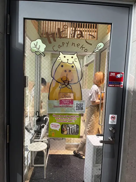 Photo 2 of Kobe Animal Kingdom — Animal Cafe in Ward Kobe, Japan