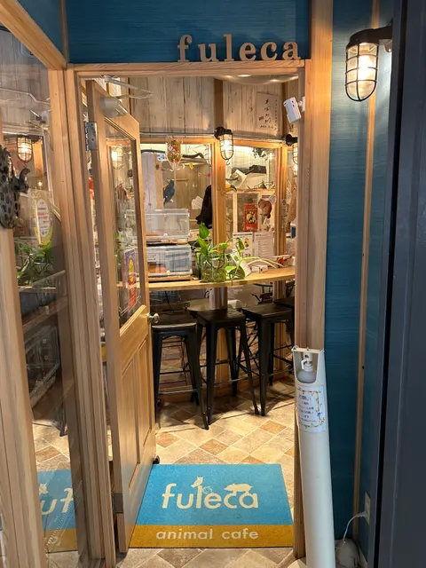 Photo 1 of アニマルカフェfuleca — Owl Cafe in Fukushima Ward, Japan