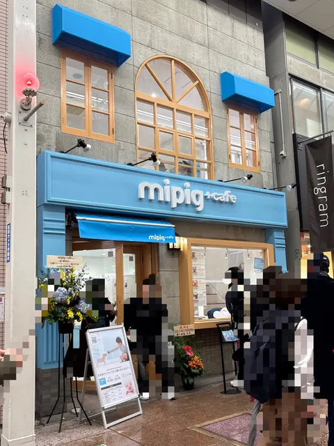 Photo 1 of mipig cafe 神戸三宮店【マイクロブタカフェ】 — Pig Cafe in Ward Kobe, Japan