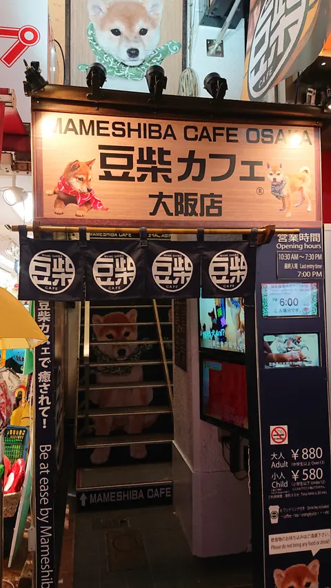 Photo 1 of Mame Shiba Cafe — Animal Cafe in , Japan