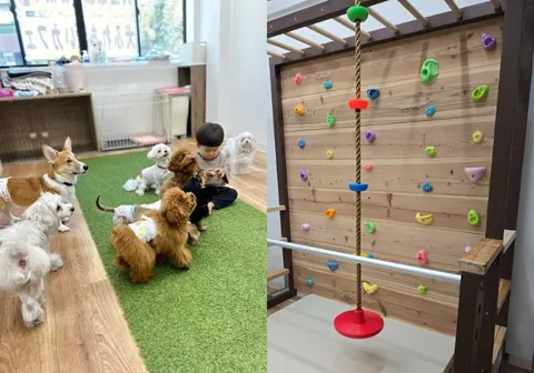 Photo 1 of Hogoken Cafe & Restaurant Higashi — Dog Cafe in Ward, Japan
