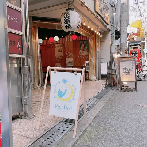 Photo 1 of Nekocafe Rag doll — Cat Cafe in Chuo Ward, Japan
